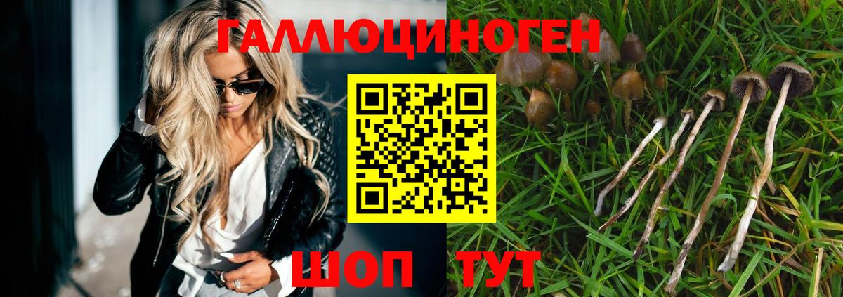 Домодедово  Галлюциногенные грибы MAGIC MUSHROOMS  Вход с VPN  Псилоцибиновые грибы Cubensis 